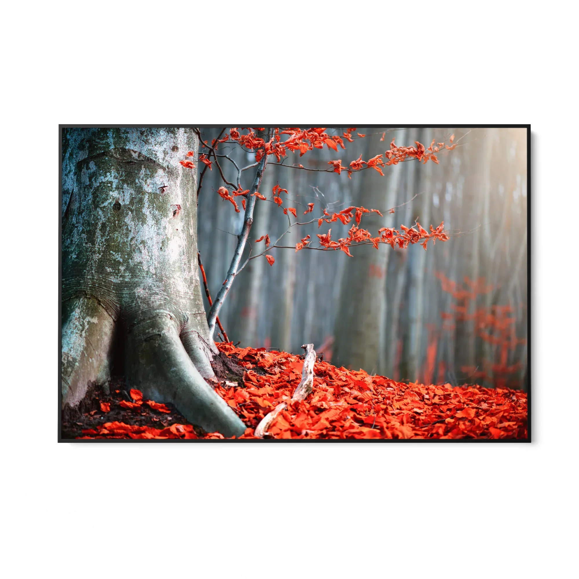 Immagine prodotto 5
