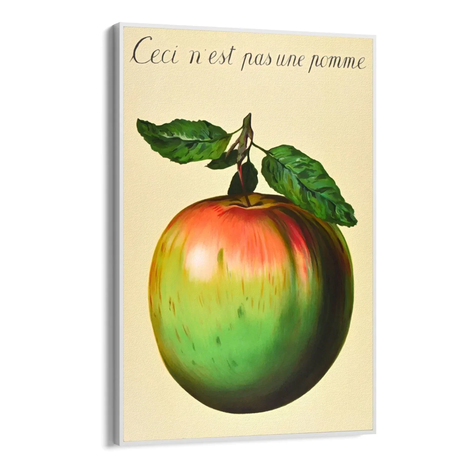 Immagine prodotto 10