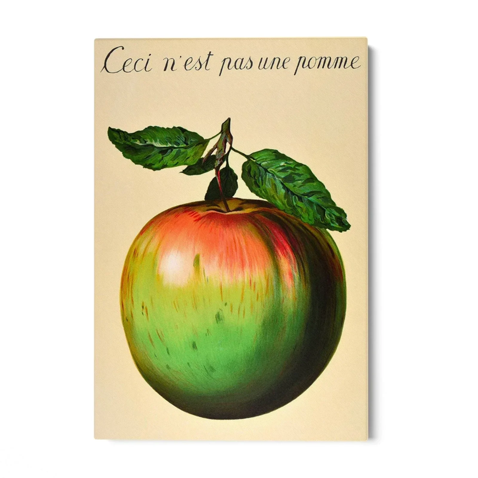 Immagine prodotto 3