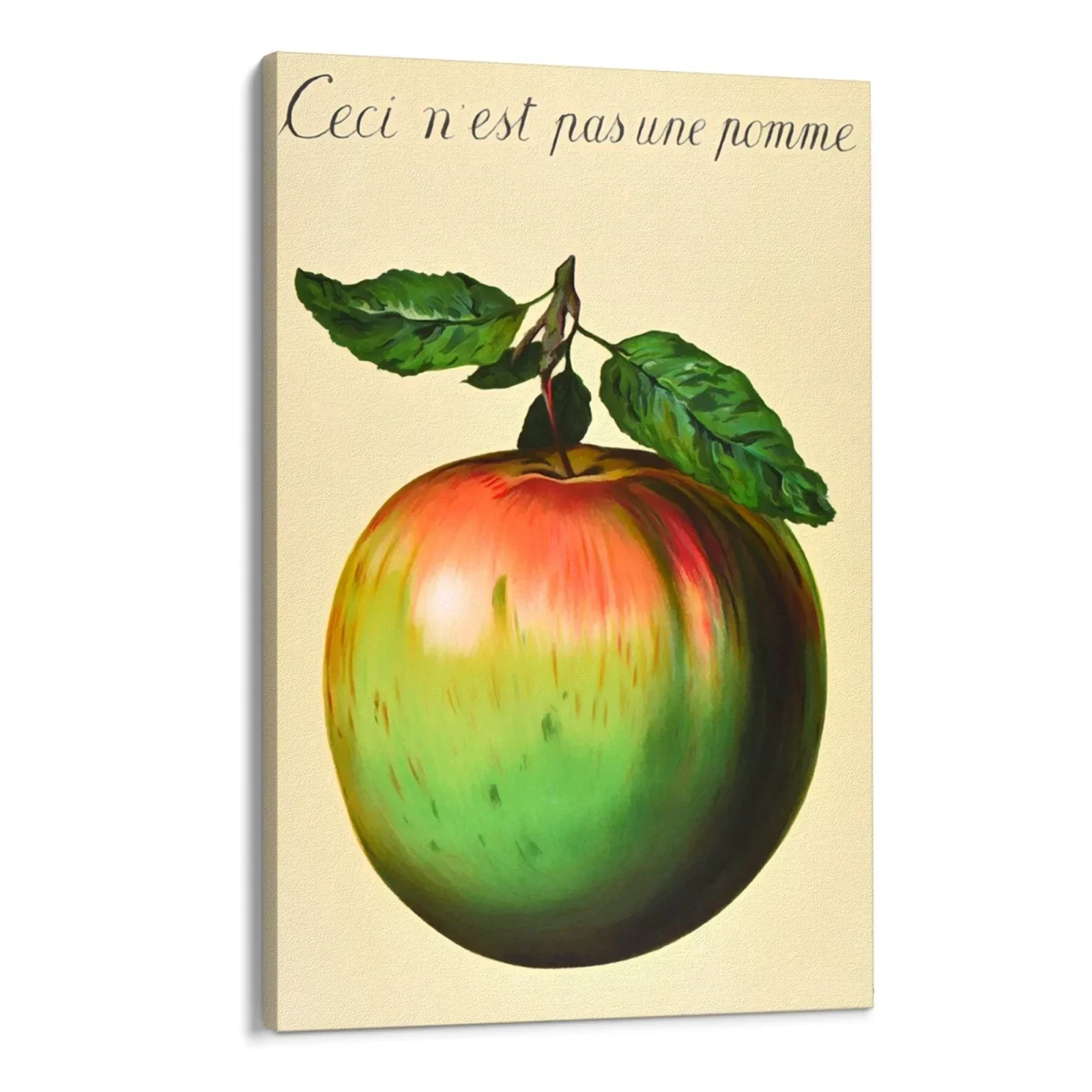 Immagine prodotto 4