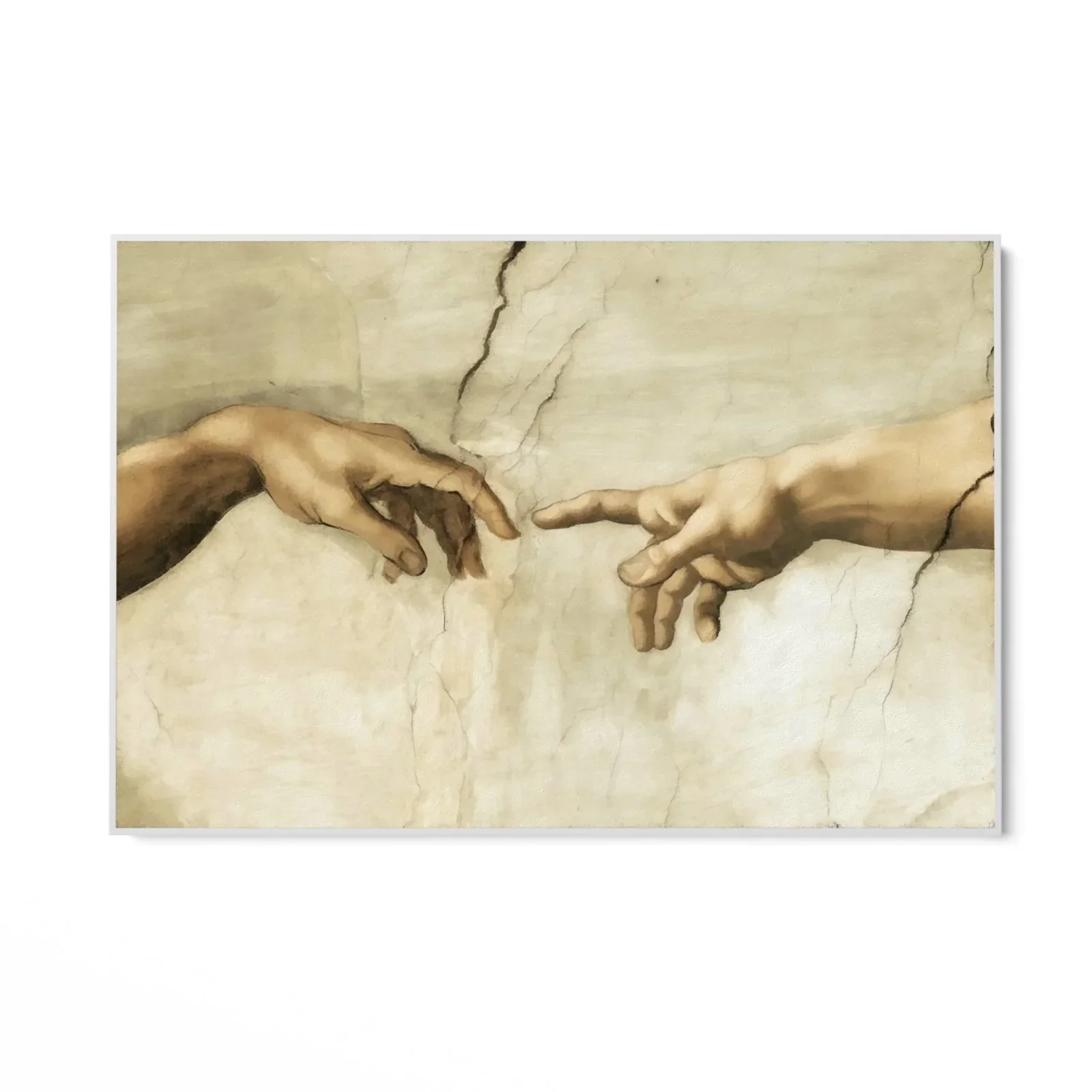 Immagine prodotto 10