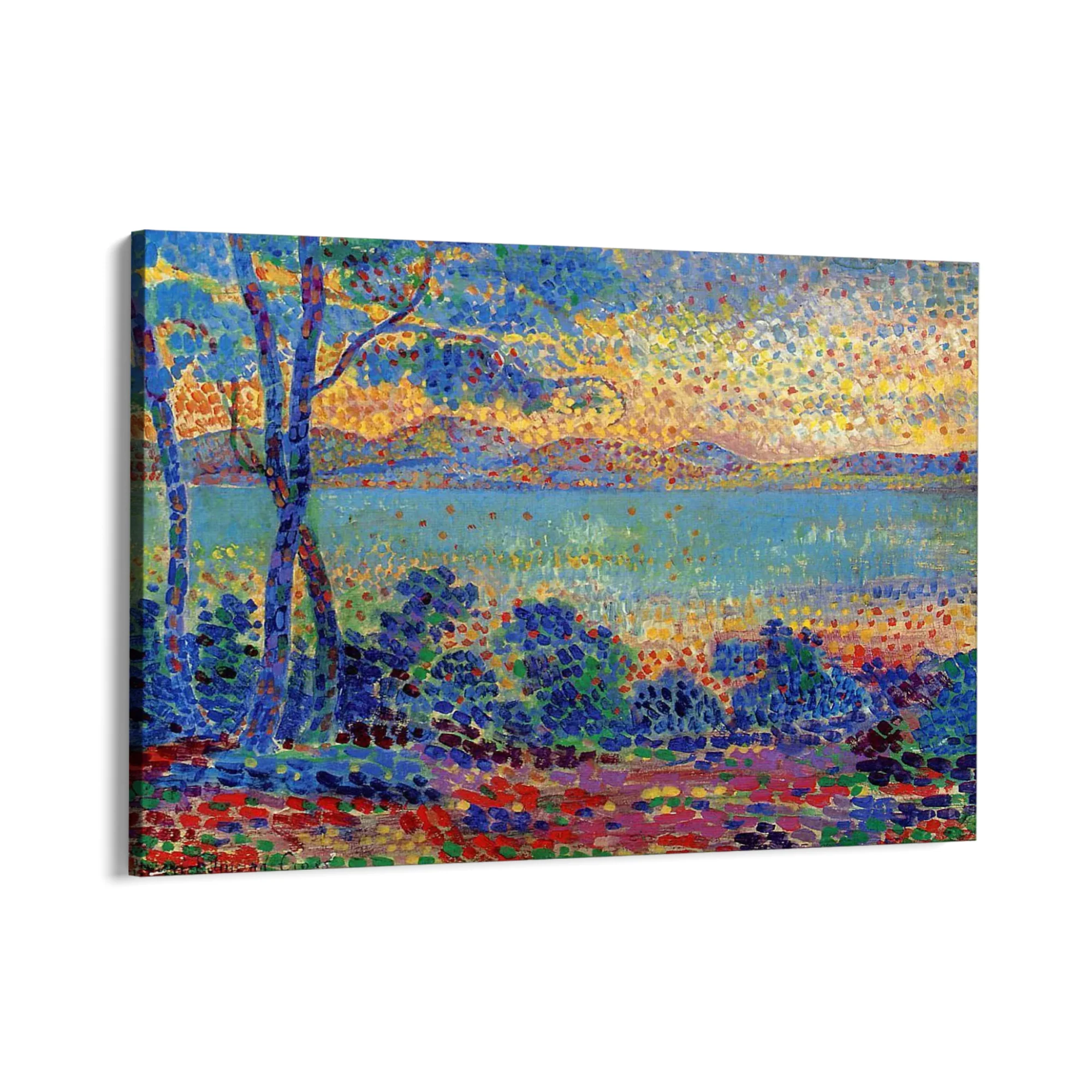 Immagine prodotto 8